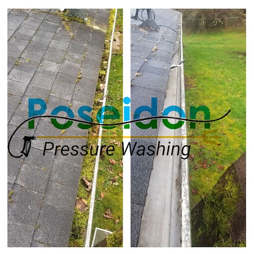 Gutter cleaning in olympia wa protecting foundations and rooflines
