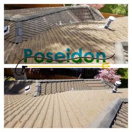Lacey wa soft wash roof cleaning removing algae and protecting shingles